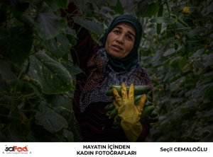 SALİHLİ FOTOĞRAF DERNEĞİ - SALFOD